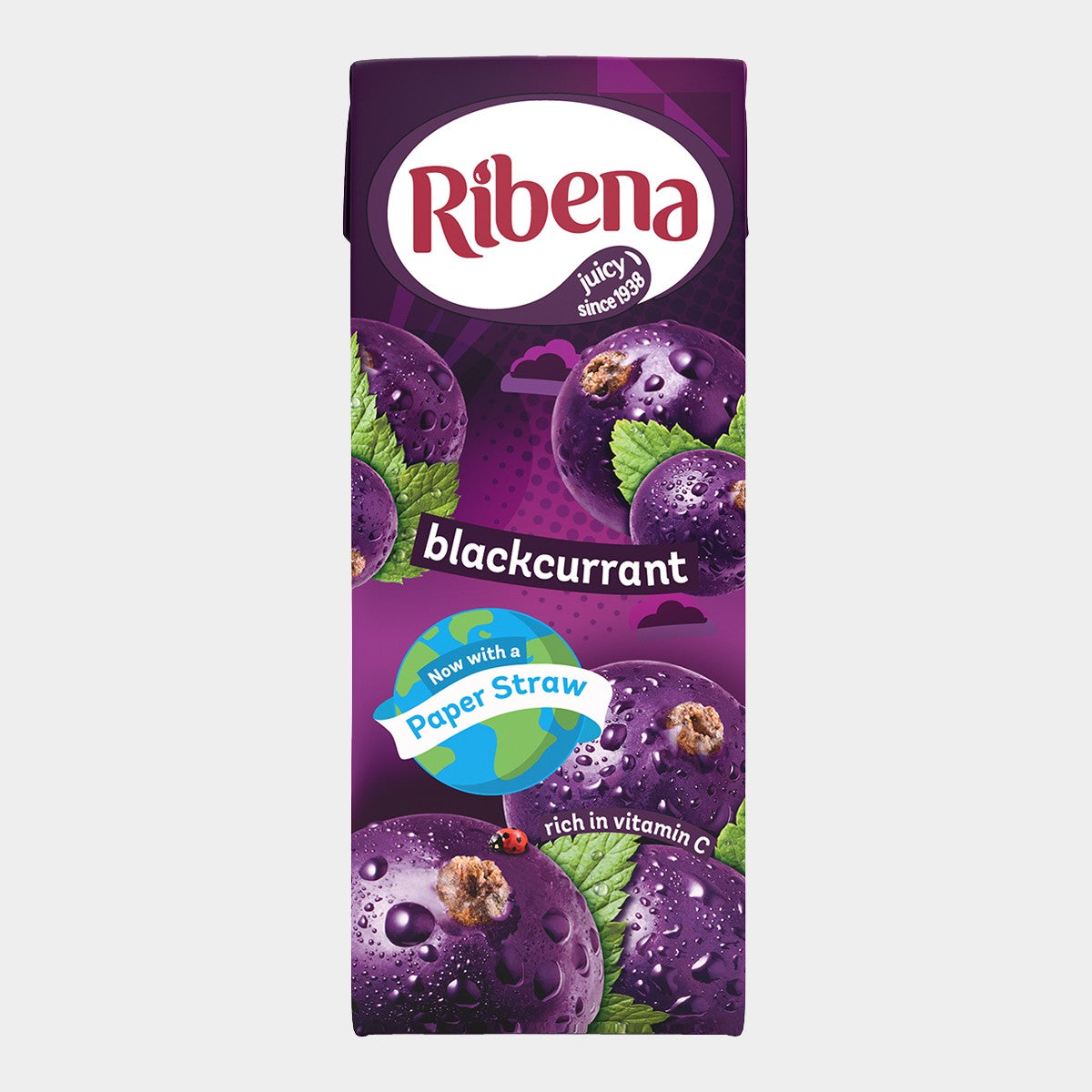 Ribena 250ml Carton (24 Pack) – Nutrivend Wholesale